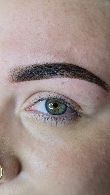 Quel est le mieux entre microblading et microshading?